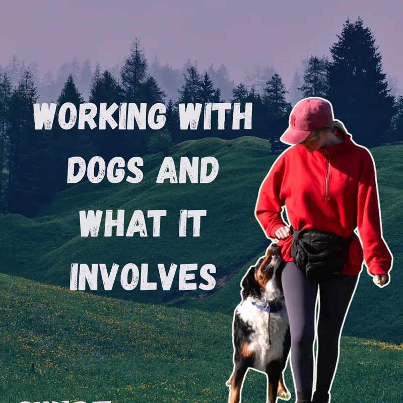 K9 With Chloe project 11