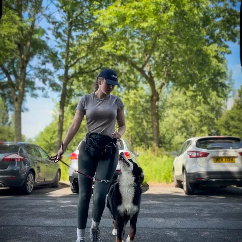 K9 With Chloe project 7