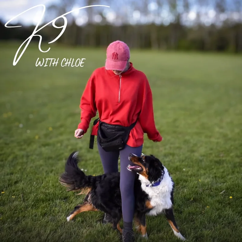 K9 With Chloe project 9