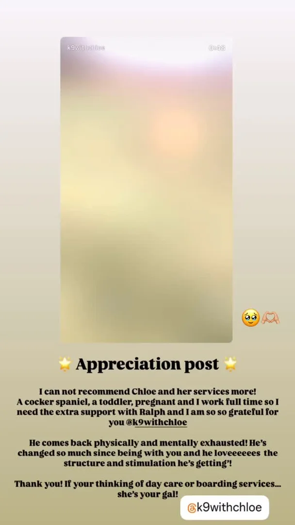 Customer testimonial